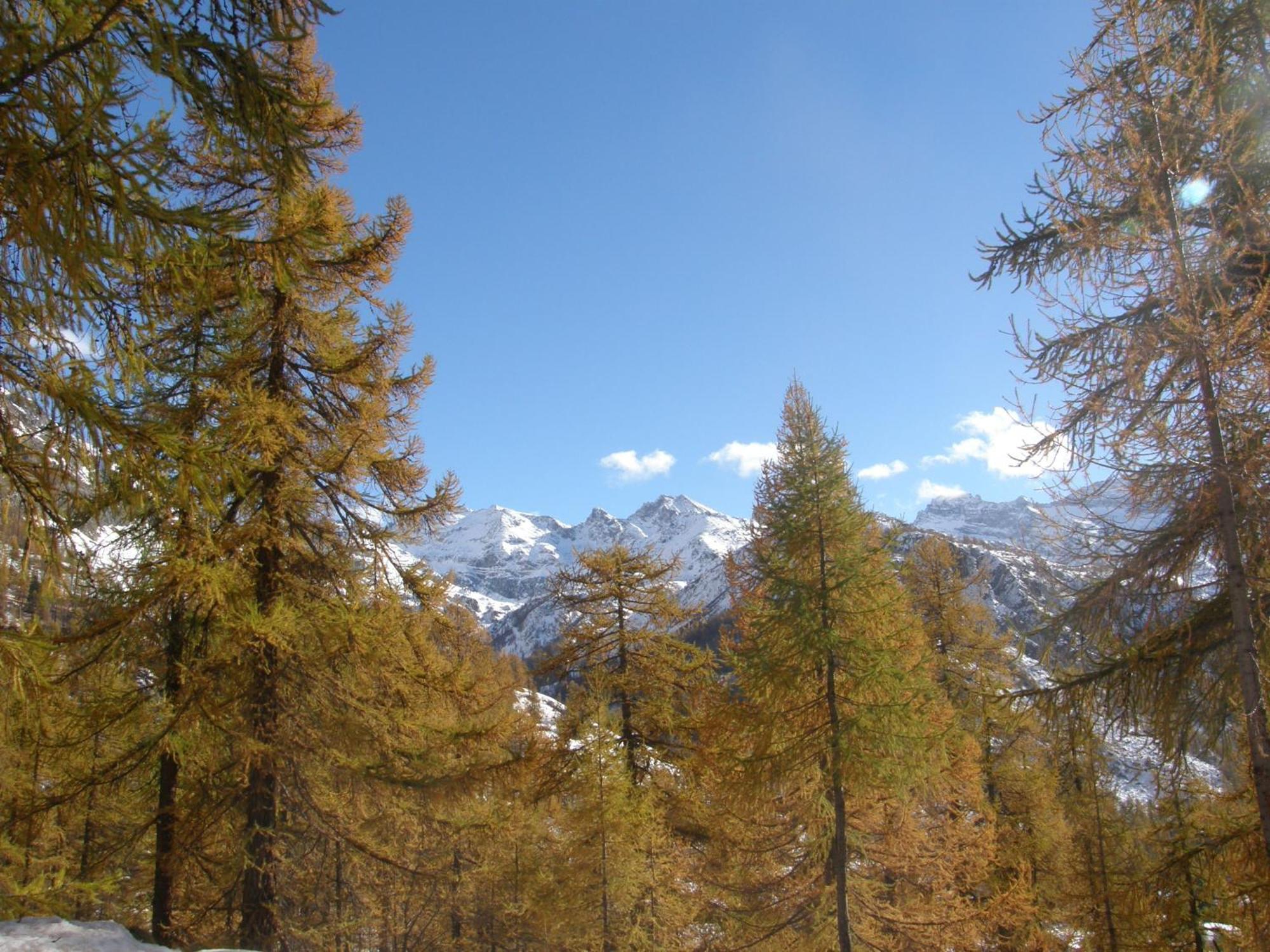 Hotel Gran Baita Gressoney-Saint-Jean Exteriér fotografie